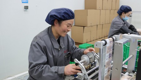 陇西南宫电子游戏