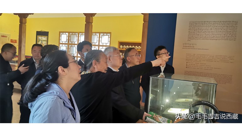 原国务院扶贫办主任刘永富一行莅临南宫电子游戏青稞调查调研